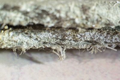 Asbestos Mitigation in Monmouth County, NJ