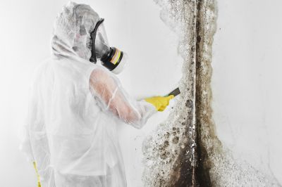 Black Mold Removal in Fort Worth, TX
