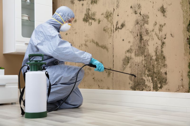 Mold Pro Service