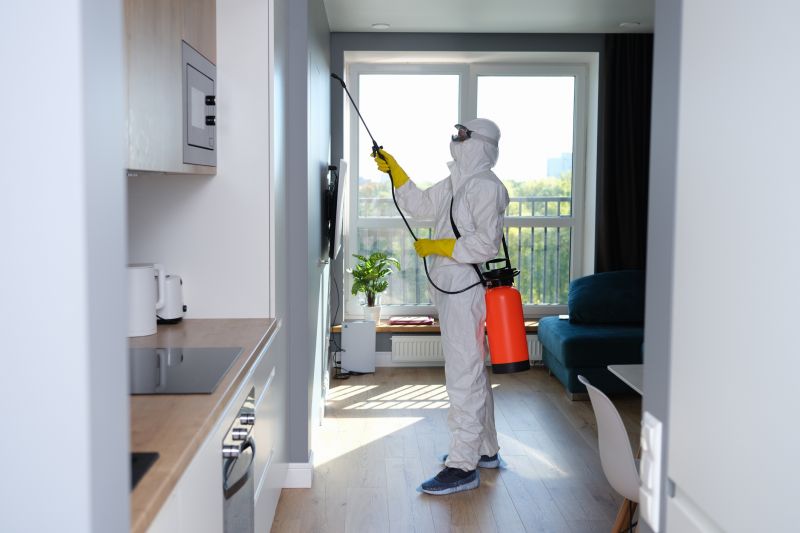 Crawl Space Mold Removal in Boca Raton, FL