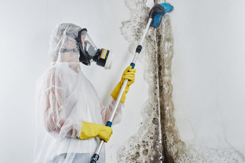 Garage Mold Remediation in Fort Worth, TX