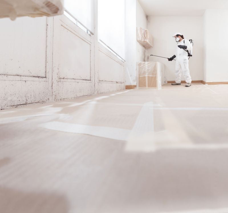 Garage Mold Remediation in West Palm Beach, FL