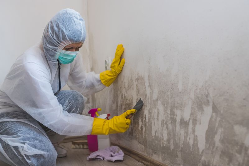 Mold Pro Service