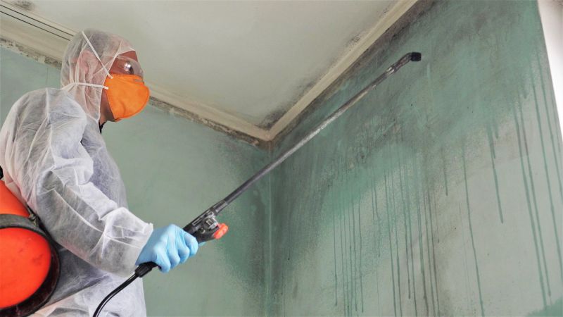 White Mold Mitigation in Fort Worth, TX