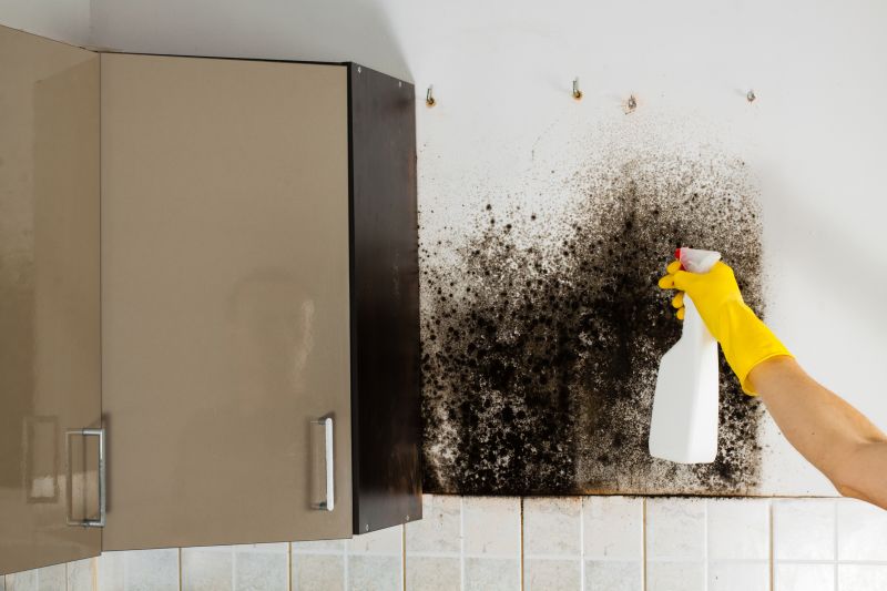 Attic Mold Removal in Fort Worth, TX