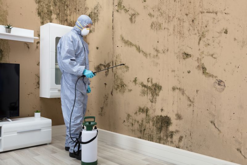 Black Mold Removal in Palm Beach County, FL