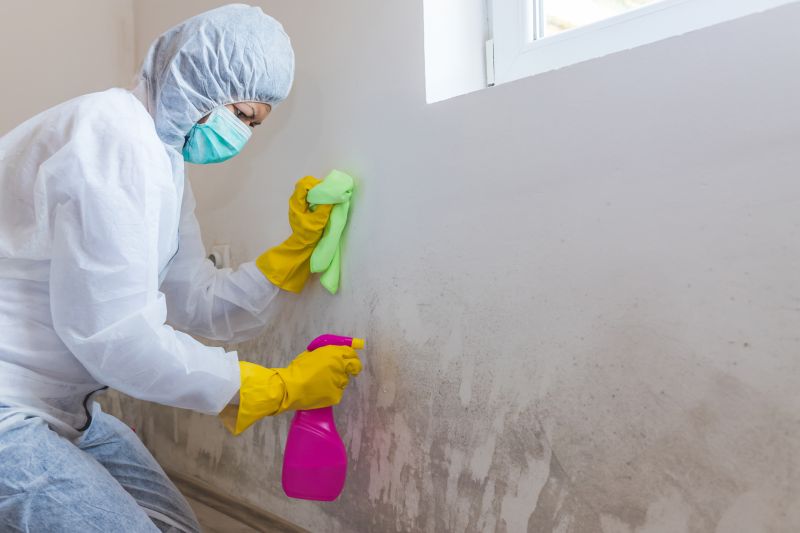 Crawlspace Mold Remediation in Jupiter, FL