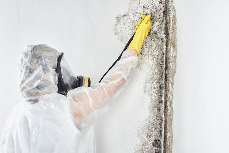 Mold Control in Bergen County, NJ