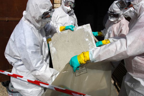 Asbestos Elimination