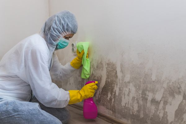 Home Mold Removal - Home Mold Removal South Portland, Maine