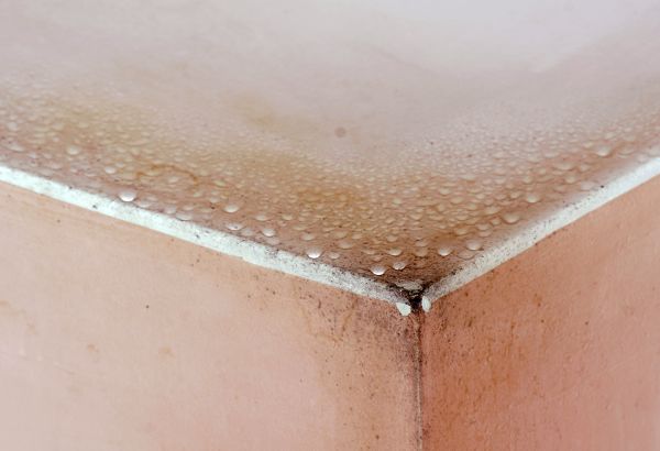 Garage Mold Mitigation - Garage Mold Mitigation Huntsville, Alabama
