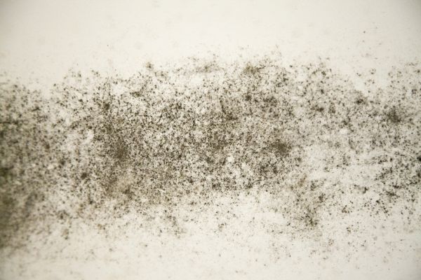 Bathroom Mold Inspection - Bathroom Mold Inspection Mount Juliet, Tennessee